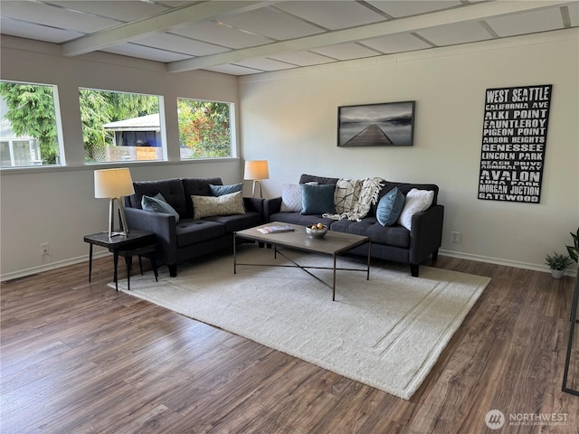 5065 SW Olga St, Seattle, WA 98116 - living room with wood finished floors and beamed ceiling