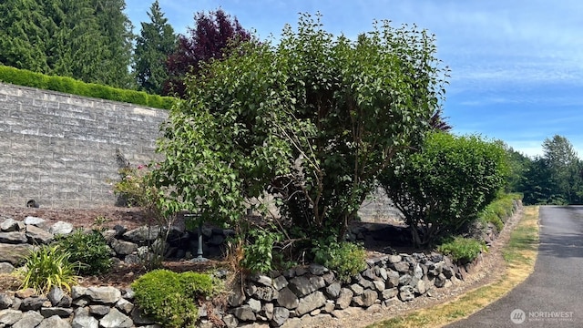 8918 173rd Ave SE, Snohomish, WA 98290 - photo 12