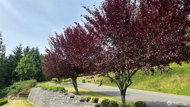 8918 173rd Ave SE, Snohomish, WA 98290 - photo 13