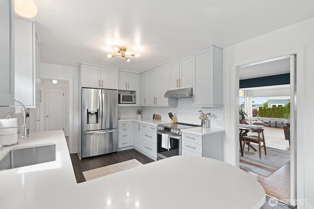 1604 28th Ave W, Seattle, WA 98199 - kitchen featuring appliances with stainless steel finishes, under cabinet range hood, dark wood-style floors, decorative backsplash, and light countertops