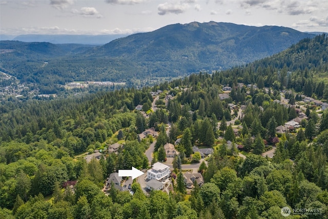 2115 Squak Mountain Loop SW, Issaquah, WA 98027 - bird's eye view of a heavily wooded area and a mountain backdrop