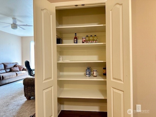 1548 River Rd Unit 105, Longview, WA 98632 - view of pantry