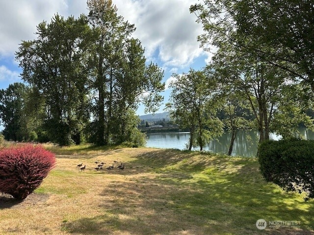 1548 River Rd Unit 105, Longview, WA 98632 - view of green lawn with a water view