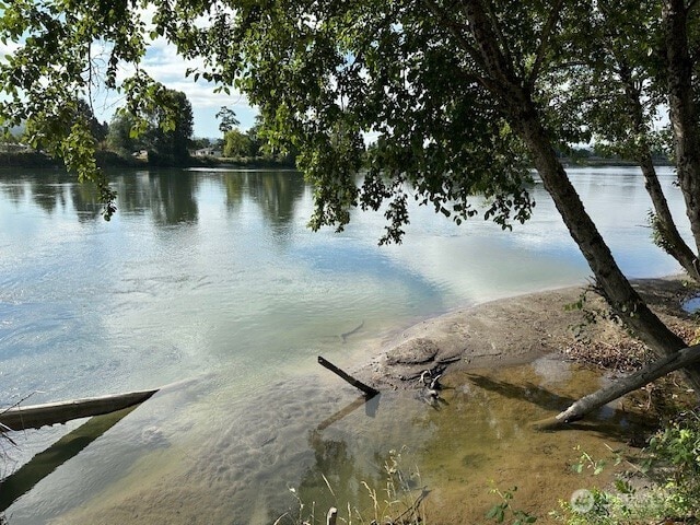 1548 River Rd Unit 105, Longview, WA 98632 - water view