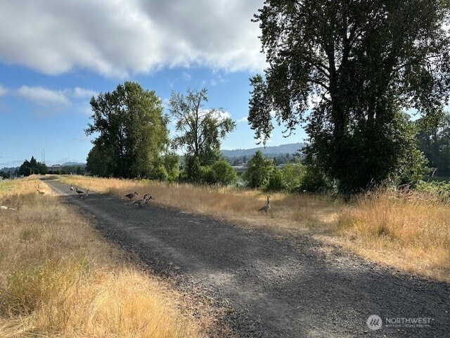 1548 River Rd Unit 105, Longview, WA 98632 - view of street with a rural view