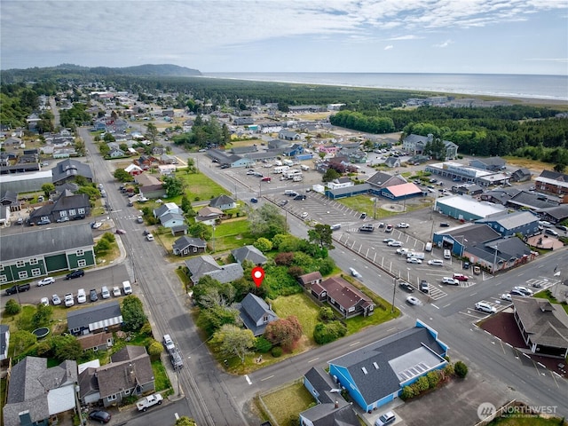 209 3rd St SE, Long Beach, WA 98631 - drone / aerial view