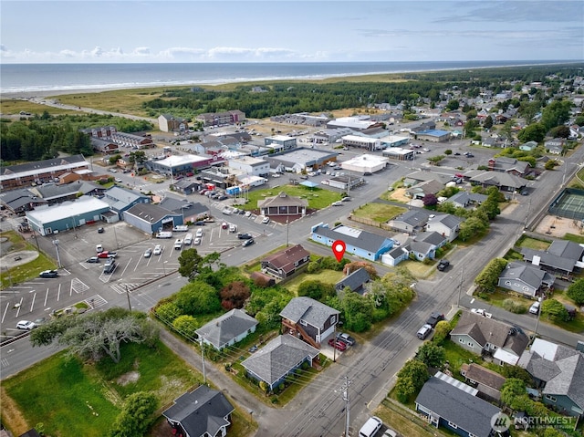 209 3rd St SE, Long Beach, WA 98631 - aerial view of property's location