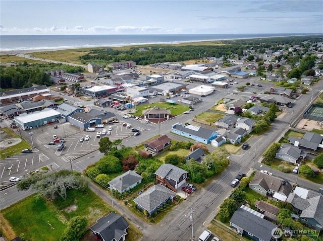 209 3rd St SE, Long Beach, WA 98631 - aerial view of property and surrounding area