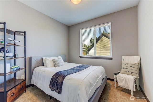 13131 287th Ave SE, Monroe, WA 98272 - bedroom featuring carpet floors and baseboards