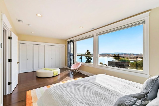 1634 Palm Ave SW, Seattle, WA 98116 - bedroom with multiple windows, wood finished floors, multiple closets, a water view, and recessed lighting