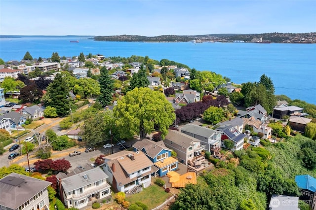 1634 Palm Ave SW, Seattle, WA 98116 - aerial view of residential area with a large body of water