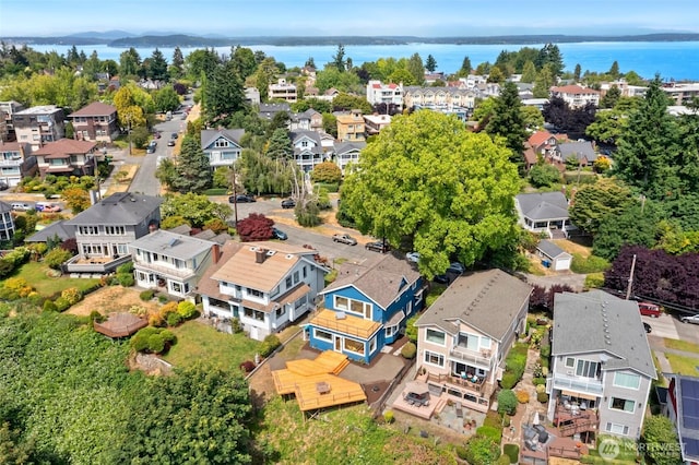 1634 Palm Ave SW, Seattle, WA 98116 - aerial view of residential area with a large body of water