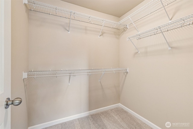 4444 Edgewater Blvd NE, Lacey, WA 98516 - spacious closet with carpet floors