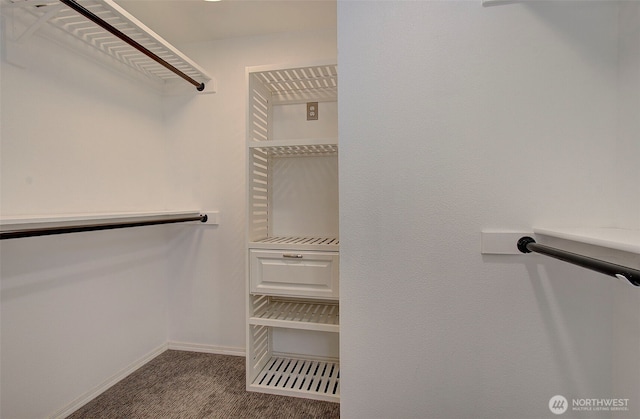 15108 NE 22nd Ave, Salmon Creek, WA 98686 - spacious closet with carpet flooring