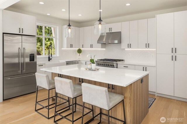 2809 NW 71st St, Seattle, WA 98117 - kitchen with premium appliances, under cabinet range hood, light wood-style floors, white cabinets, and tasteful backsplash