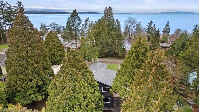 4968 Morgan Dr, Blaine, WA 98230 - drone / aerial view of a large body of water