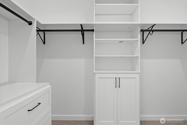 6032 42nd Ave SW Unit A, Seattle, WA 98136 - view of walk in closet