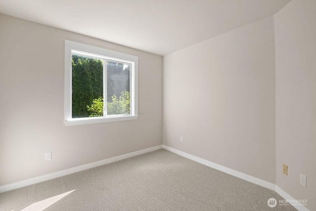 5309 Ridge Dr NE, Tacoma, WA 98422 - photo 18