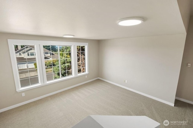 5309 Ridge Dr NE, Tacoma, WA 98422 - photo 28