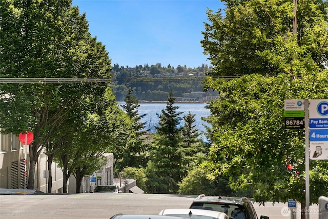 159 Denny Way Unit 112, Seattle, WA 98109 - water view