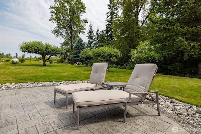 20063 Park Ridge Ln, Sedro Woolley, WA 98284 - view of patio / terrace