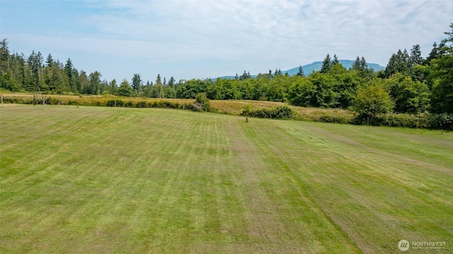 20063 Park Ridge Ln, Sedro Woolley, WA 98284 - view of grassy yard with a mountain view