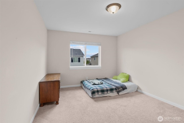 2807 13th Avenue Ct NW, Puyallup, WA 98371 - photo 19
