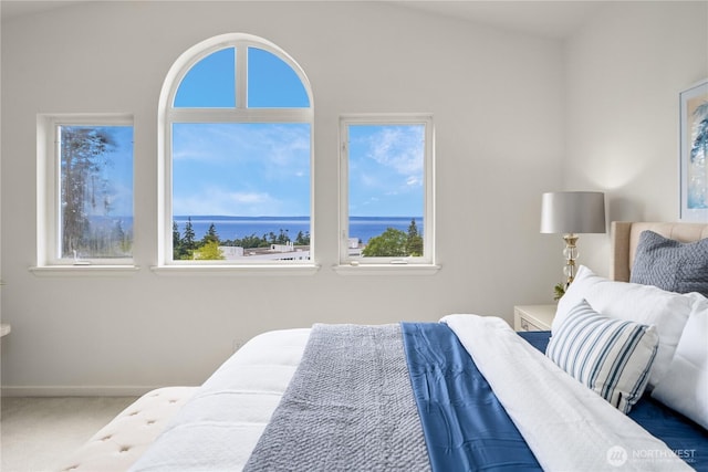 6290 Harbour Heights Parkway Unit A3, Mukilteo, WA 98275 - bedroom with multiple windows and carpet