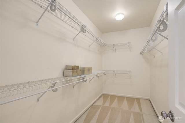 6290 Harbour Heights Parkway Unit A3, Mukilteo, WA 98275 - walk in closet featuring light carpet