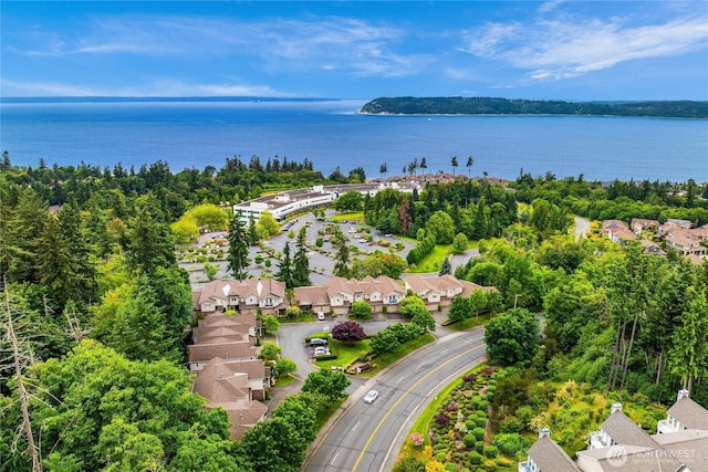 6290 Harbour Heights Parkway Unit A3, Mukilteo, WA 98275 - aerial perspective of suburban area with a nearby body of water