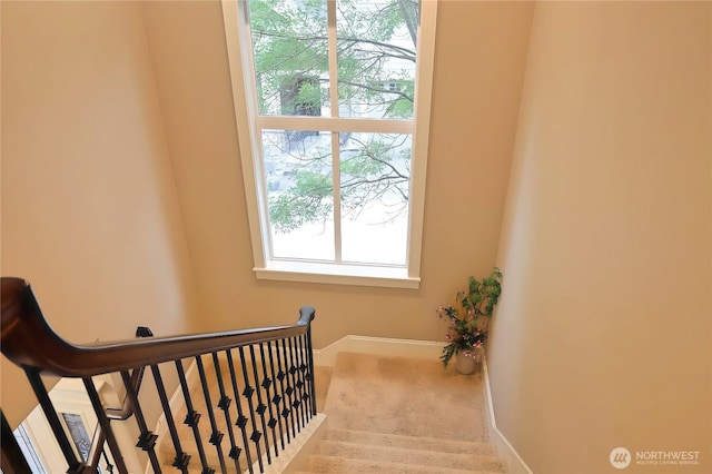 12265 168th Ct NE, Redmond, WA 98052 - stairs with carpet floors and baseboards