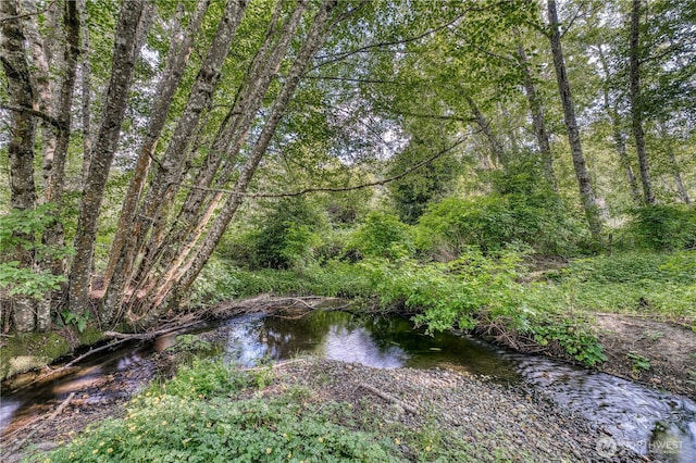 7021 Beach Dr E, Port Orchard, WA 98366 - photo 35