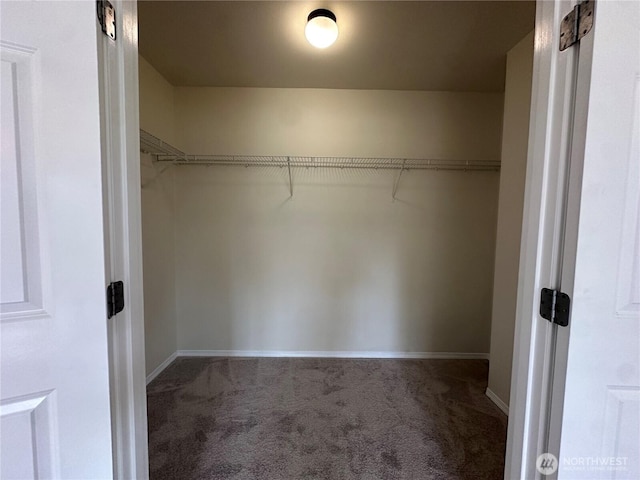 15328 104th Ave SE, Yelm, WA 98597 - spacious closet featuring carpet flooring