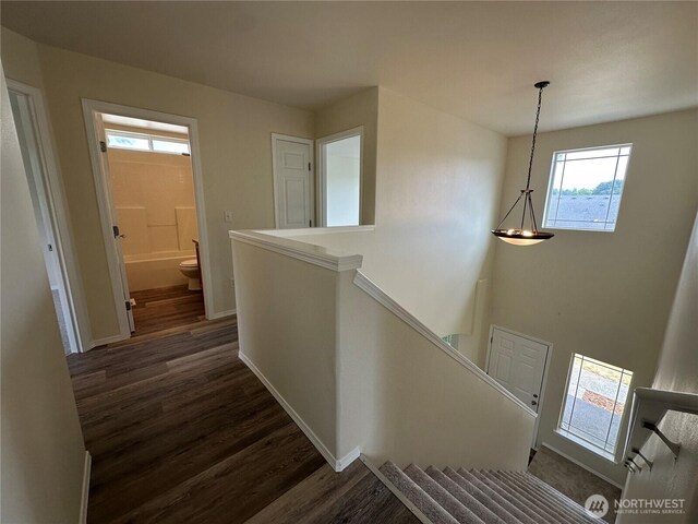 15328 104th Ave SE, Yelm, WA 98597 - corridor featuring dark wood-style flooring and an upstairs landing