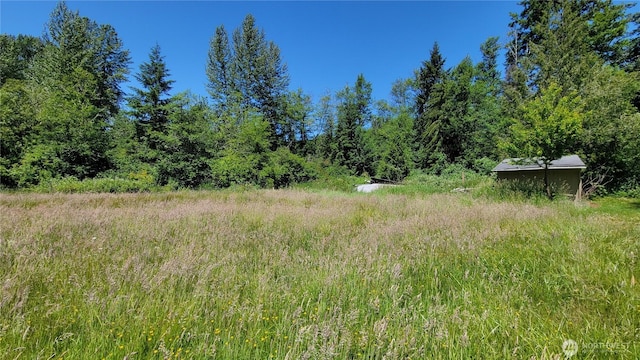 19220 State Route 706 E, Elbe, WA 98330 - photo 26