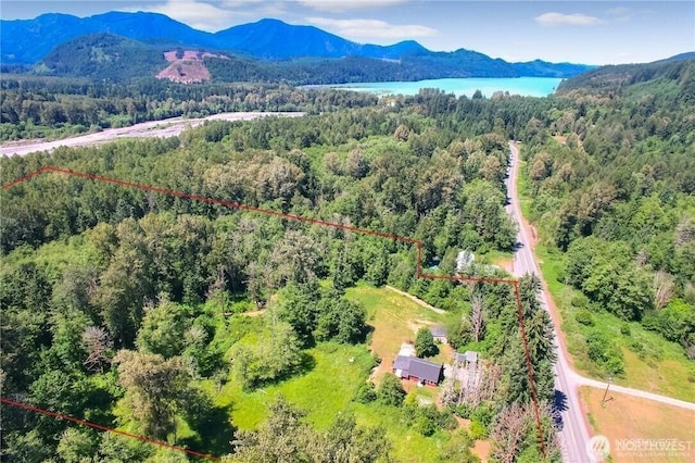 19220 State Route 706 E, Elbe, WA 98330 - photo 32