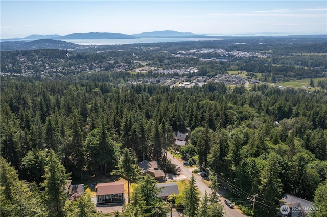 1668 Sapphire Trl, Bellingham, WA 98226 - aerial overview of property's location featuring a forest and mountains