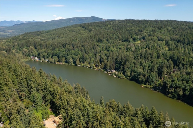 1668 Sapphire Trl, Bellingham, WA 98226 - aerial view of a heavily wooded area and a water and mountain view