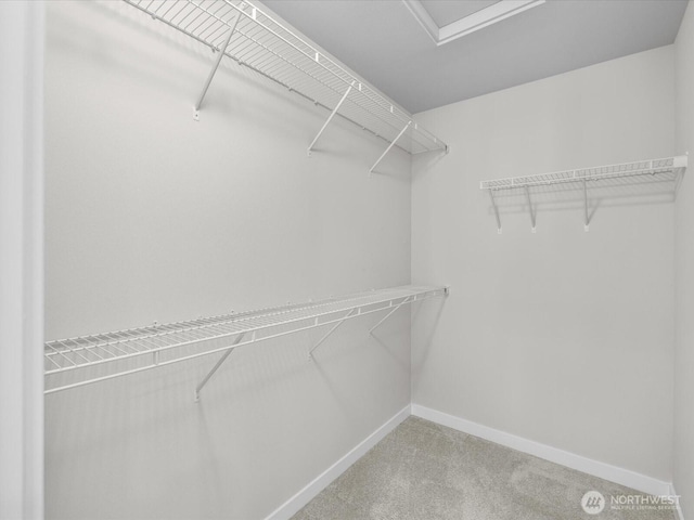 509 237th Pl SE Unit D, Bothell, WA 98021 - spacious closet with light carpet and attic access