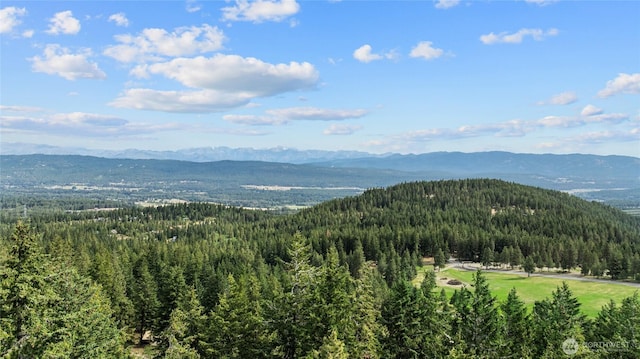 211 Indian Hill Rd, Cle Elum, WA 98922 - photo 29