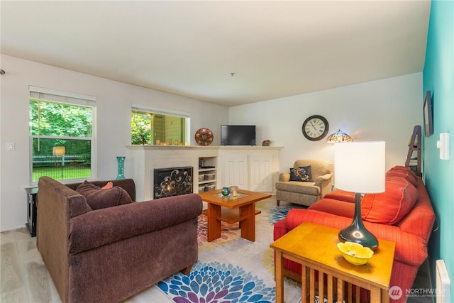 723 114th St SW Unit Y101, Everett, WA 98204 - living area featuring a warm lit fireplace and light wood-style flooring
