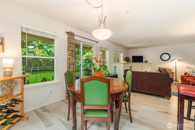 723 114th St SW Unit Y101, Everett, WA 98204 - dining area with light wood-type flooring and baseboards