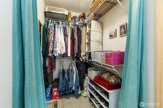723 114th St SW Unit Y101, Everett, WA 98204 - walk in closet featuring wood finished floors