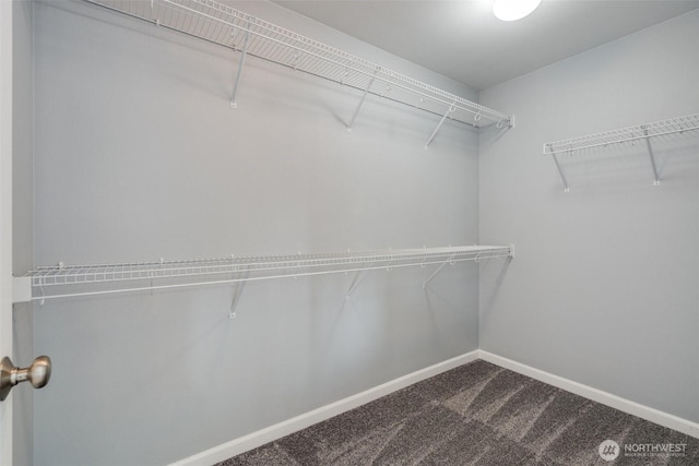 1130 77th Dr SE, Lake Stevens, WA 98258 - walk in closet with dark colored carpet