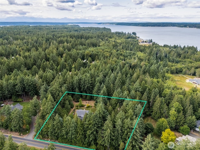 6518 73rd Ave E, Olympia, WA 98516 - aerial view of property's location with property parcel outlined