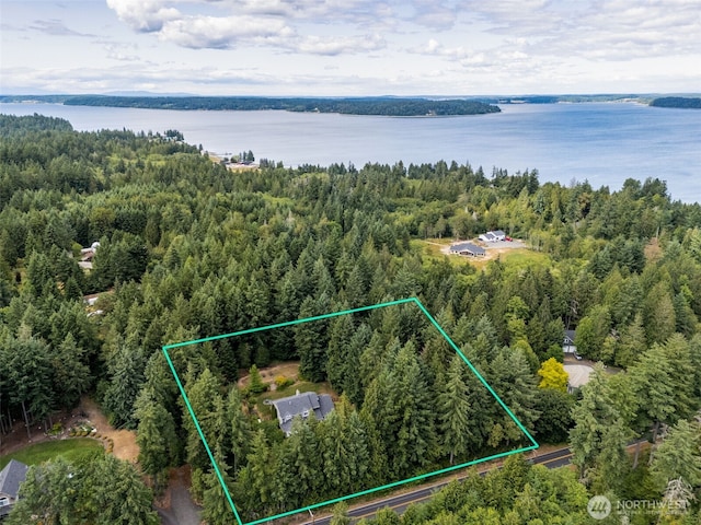 6518 73rd Ave E, Olympia, WA 98516 - aerial view of property's location with property boundaries highlighted