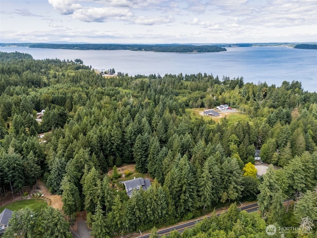 6518 73rd Ave E, Olympia, WA 98516 - drone / aerial view of a large body of water and a heavily wooded area