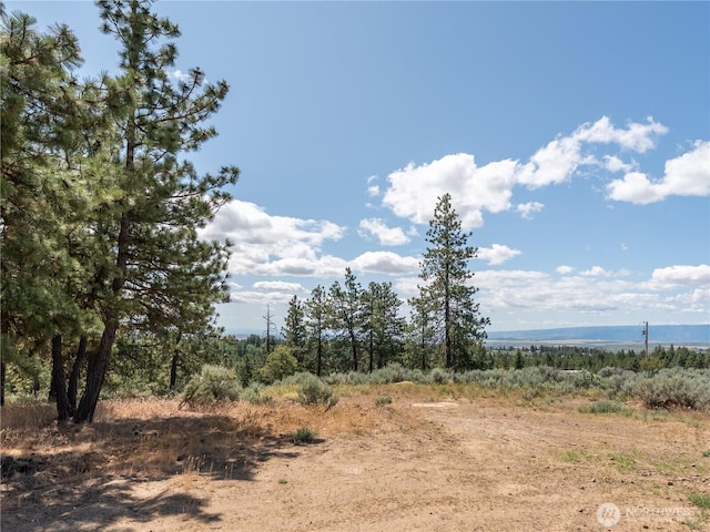 115 Hummingbird Rd, East Wenatchee, WA 98802 - view of undeveloped land