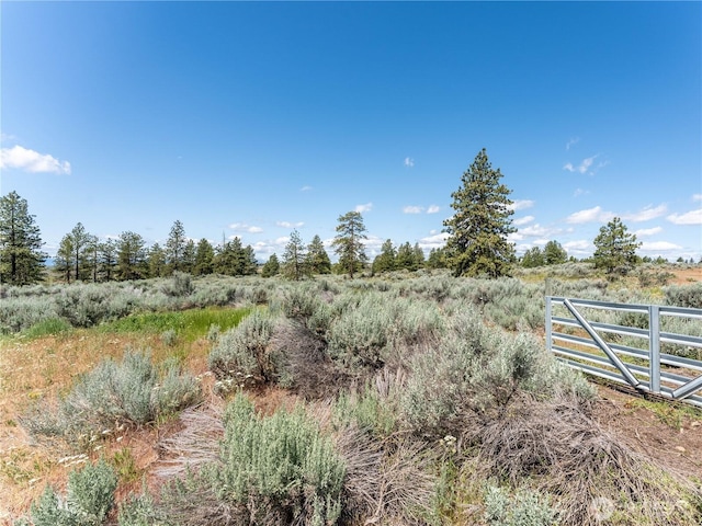 115 Hummingbird Rd, East Wenatchee, WA 98802 - view of yard