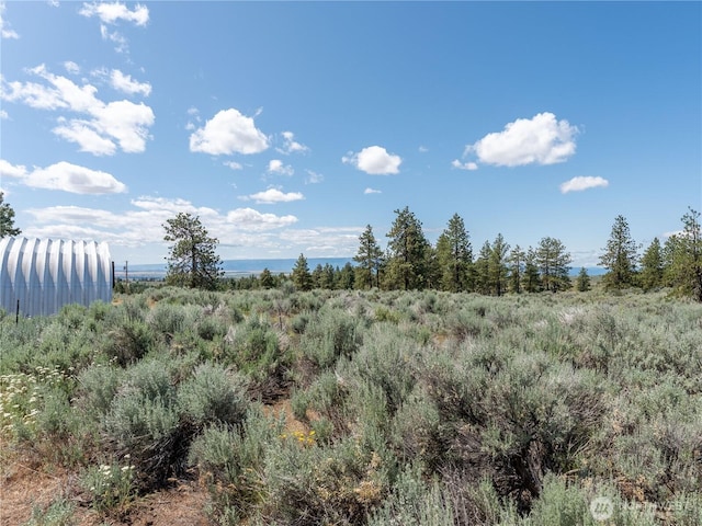 115 Hummingbird Rd, East Wenatchee, WA 98802 - view of undeveloped land